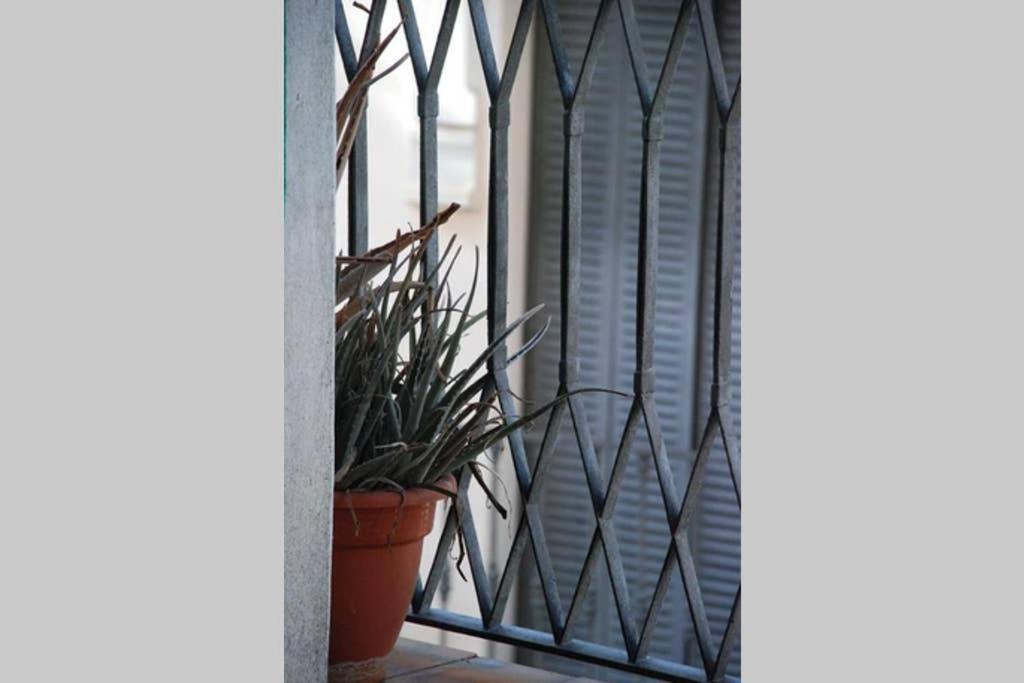 Apartamento Centro Encarnacion 2º I Apartment Sevilla Bagian luar foto